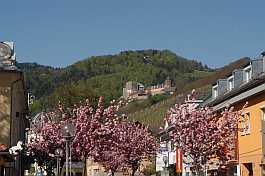 Burg zur Zeit der Kirschblüte